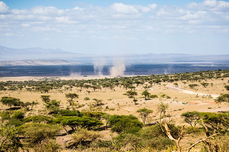 TZA ARU Ngorongoro 2016DEC23 068